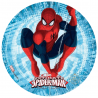 OBLEA SPIDERMAN. REF. 00208