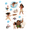 KIT VAIANA COMESTIBLE. REF. 00273